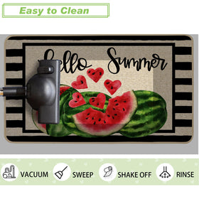 Baccessor Easy cleaning highlights quick refresh for this doormat.