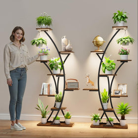 BACEKOLL indoor garden set ideal for living rooms
