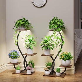 BACEKOLL indoor garden setup featuring grow lights for plant growth.