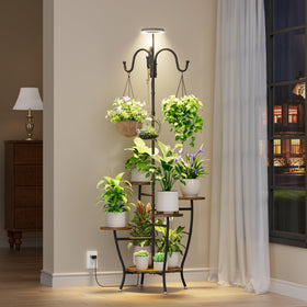 BACEKOLL 5-tier corner shelves design highlights vertical display space