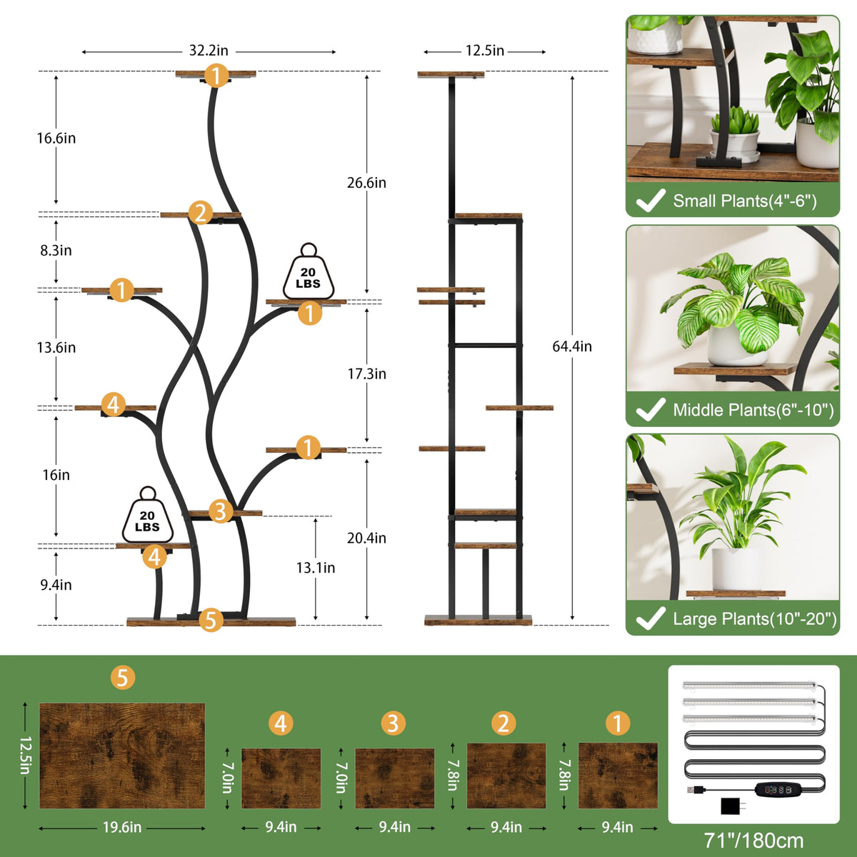 BACEKOLL heavy-duty iron tubing ensures sturdy, durable plant display.