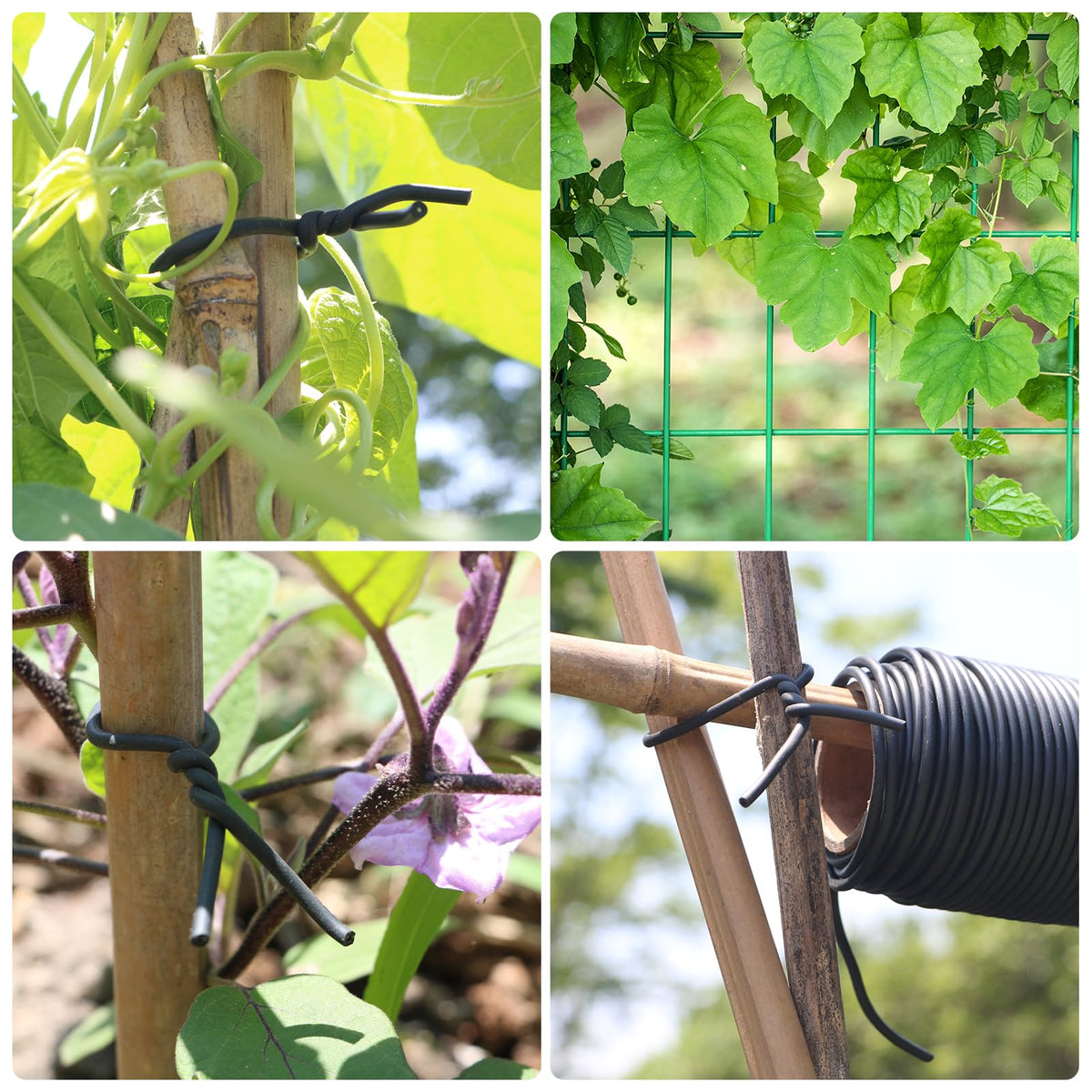 Bacetuao stake-support plant tie application stabilizes plants on a garden stake.