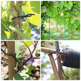 Bacetuao stake-support plant tie application stabilizes plants on a garden stake.