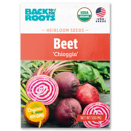 Back to the Roots Beets Chioggia seed packet ready for organic home gardens