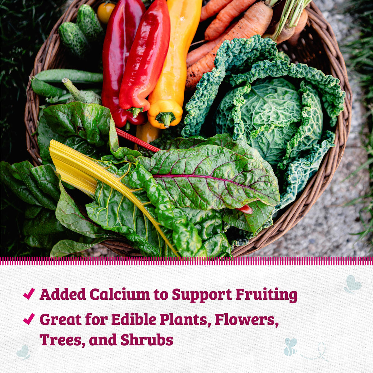 Back to the Roots Blood Meal with Gypsum calcium boost aiding root growth