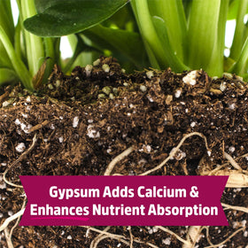 Back to the Roots Blood Meal with Gypsum used on edible plants for richer growth