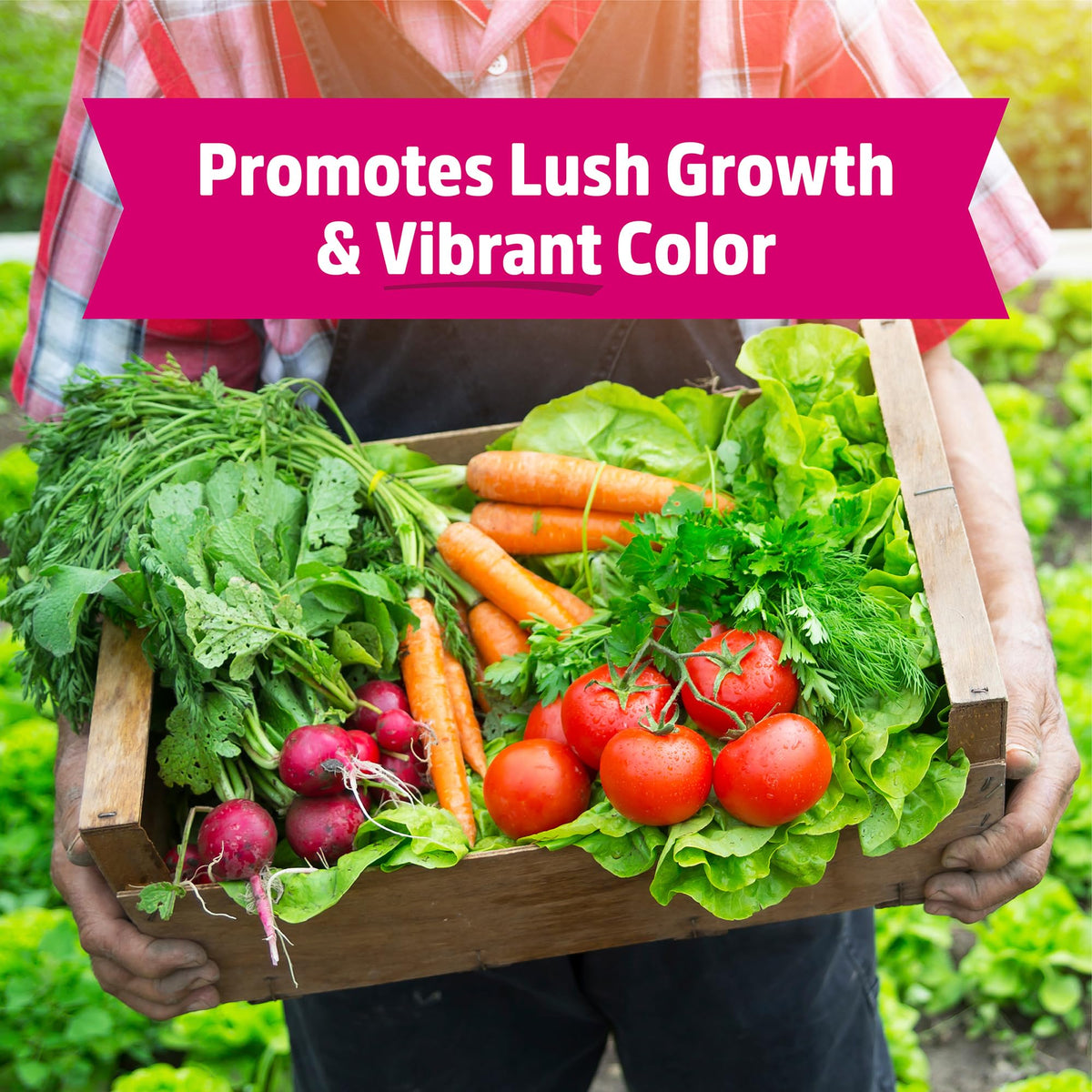 Back to the Roots Blood Meal with Gypsum promoting lush foliage in the garden