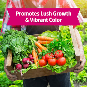 Back to the Roots Blood Meal with Gypsum promoting lush foliage in the garden