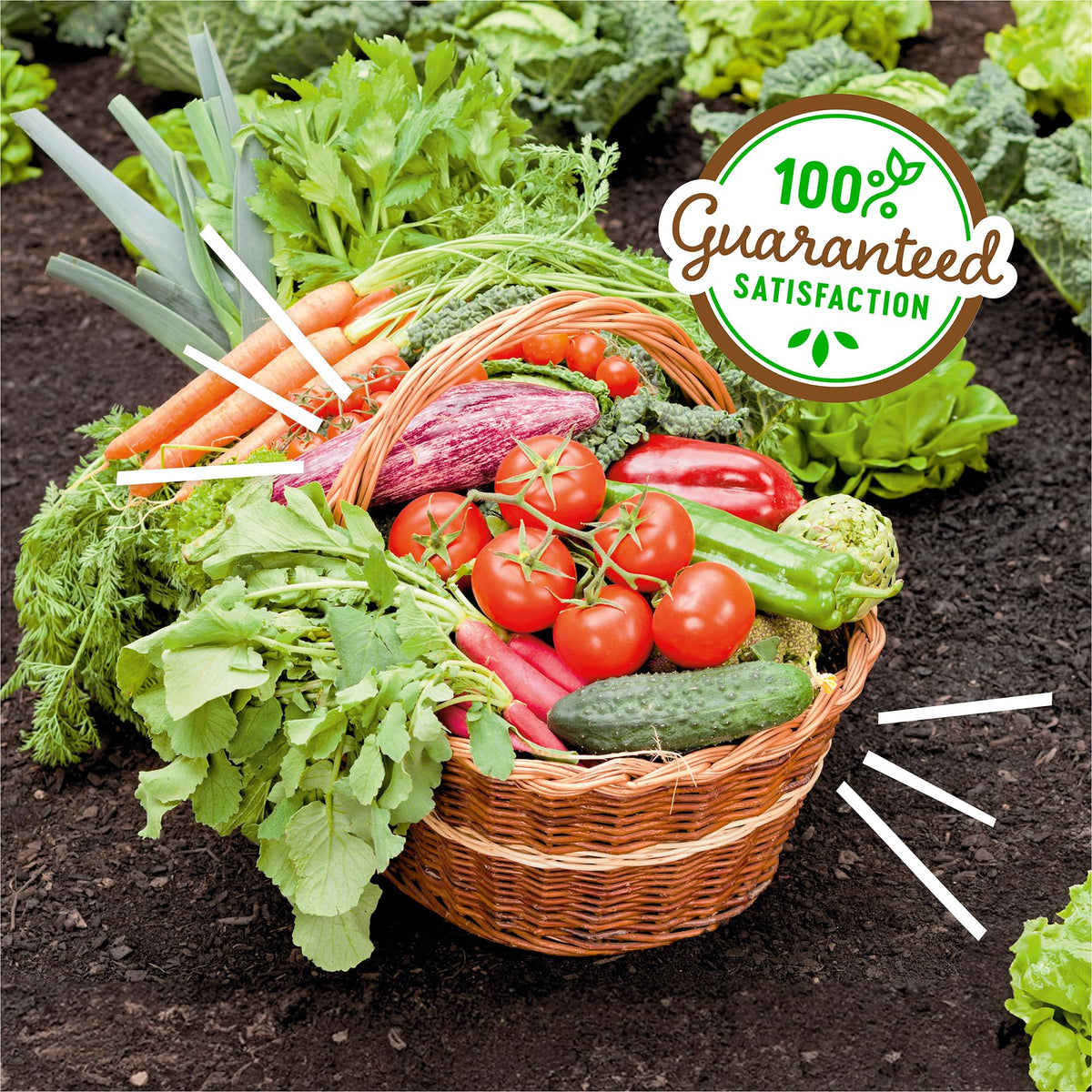 Back to the Roots Blood Meal with Gypsum garden setup for balanced feeding