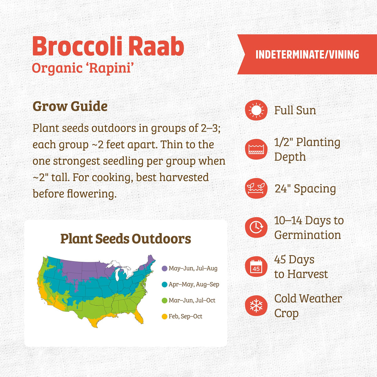 Close-up of Back to The Roots broccoli raab seeds ready to sow