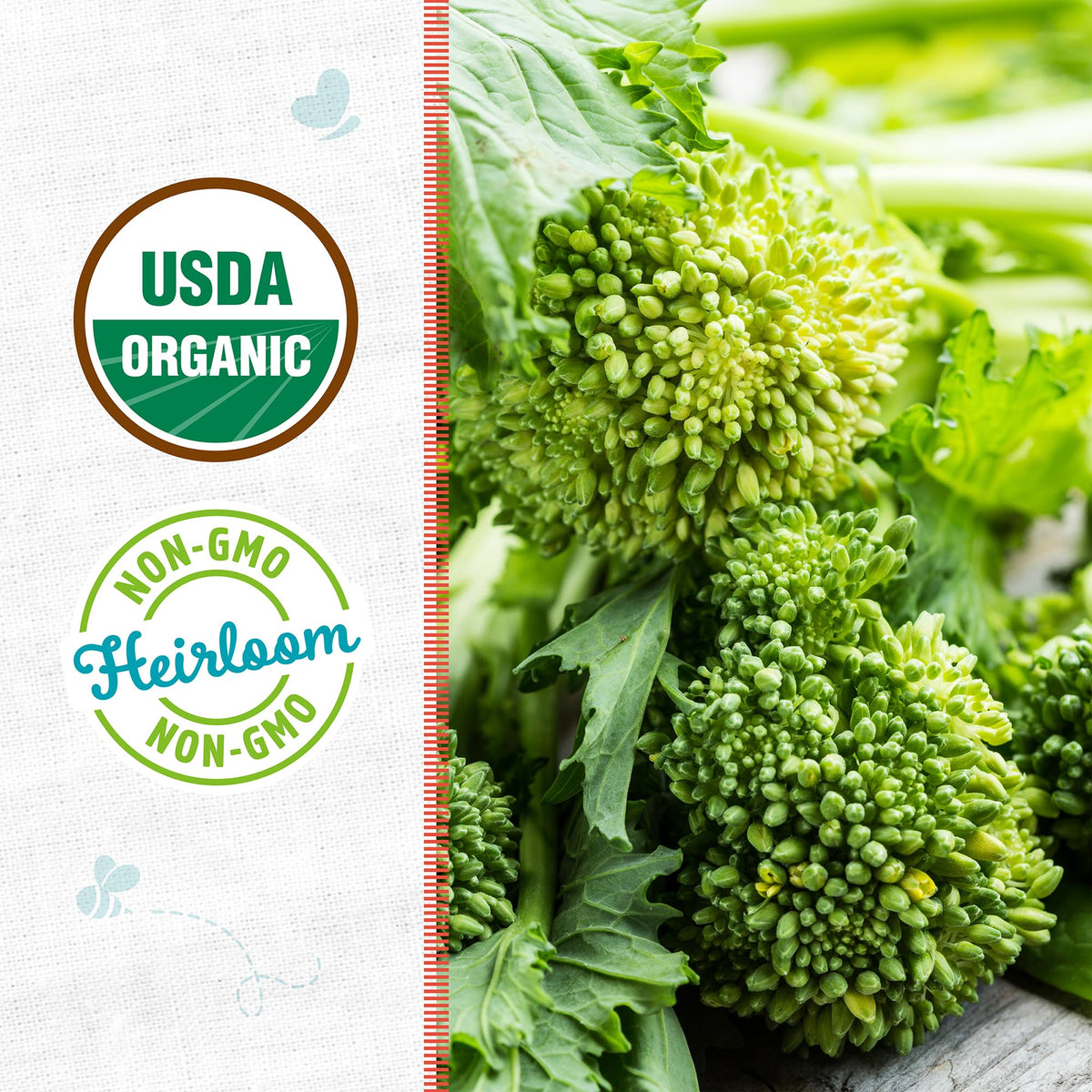 Back to The Roots broccoli raab seed packet back with growing tips and gift-ready packaging
