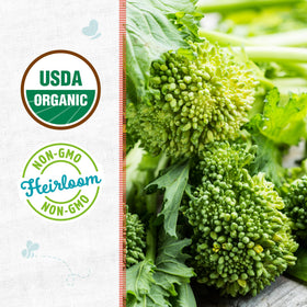 Back to The Roots broccoli raab seed packet back with growing tips and gift-ready packaging