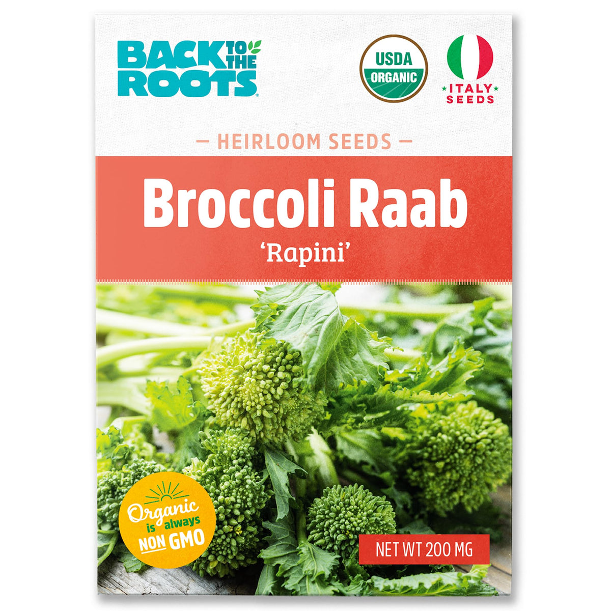 Back to The Roots broccoli raab seed packet front view—ideal for starting a home organic garden