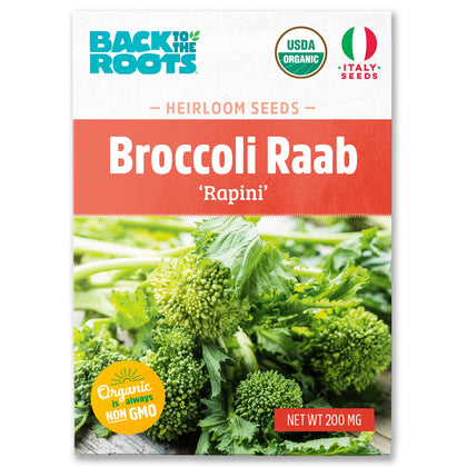 Back to The Roots broccoli raab seed packet front view—ideal for starting a home organic garden
