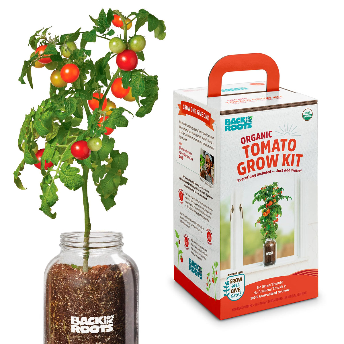 Back to the Roots cherry tomato planter on a sunny windowsill for year-round harvest