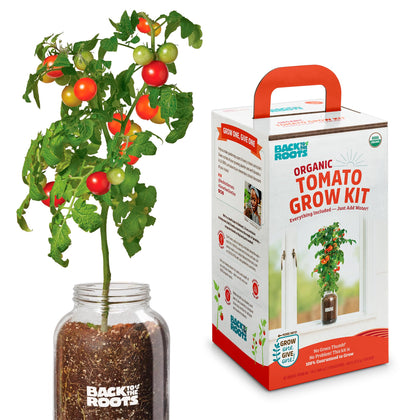 Back to the Roots cherry tomato planter on a sunny windowsill for year-round harvest
