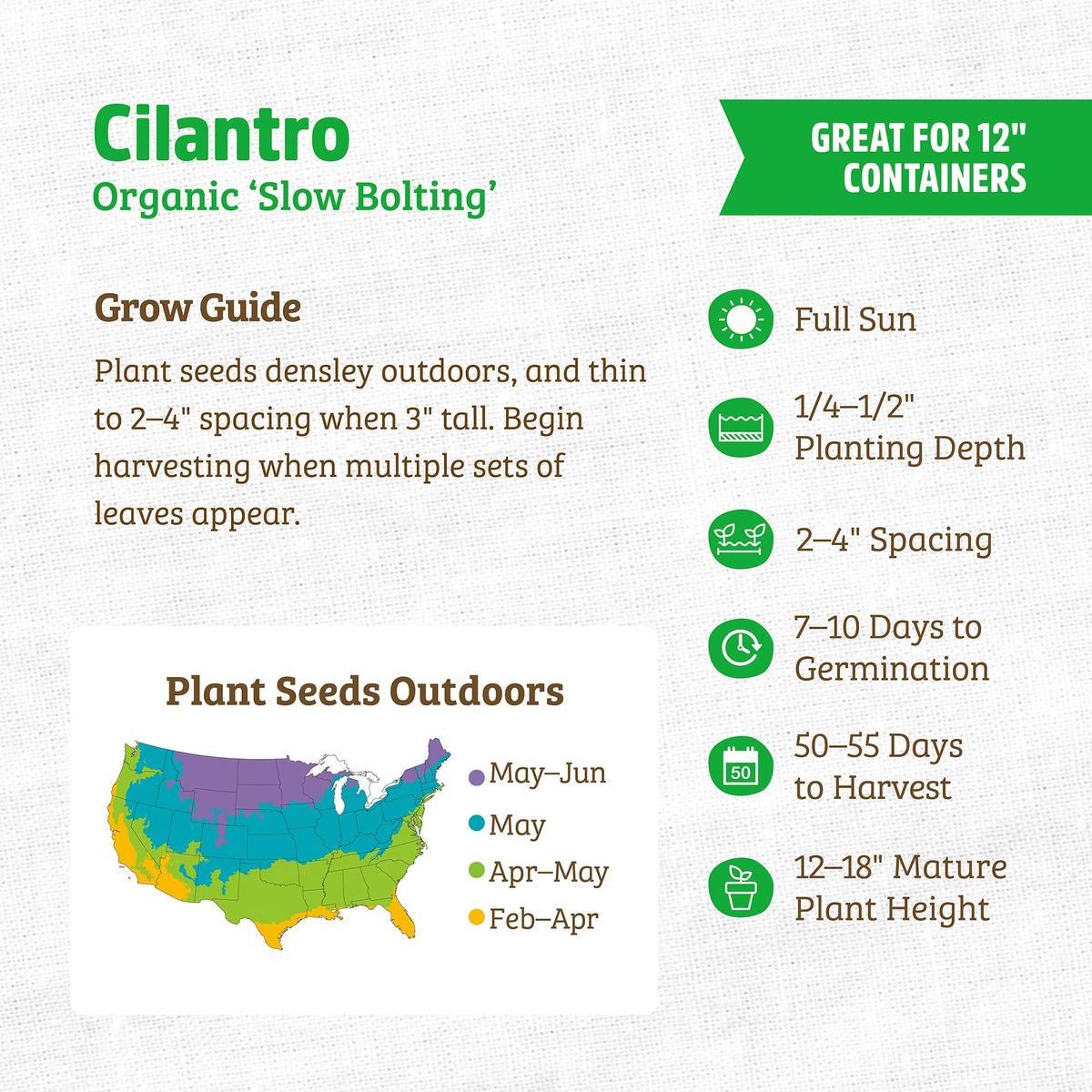 Back to the Roots cilantro germination tiny seedlings reveal quick start.