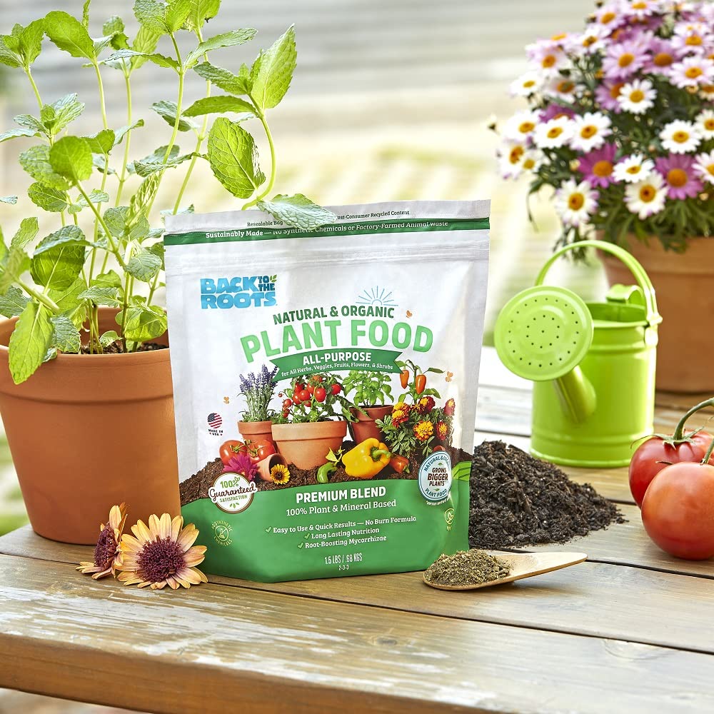 Back to the Roots indoor herbs scene shows fresh, flavorful greens after feeding