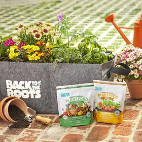 Back to the Roots Edibles Plant Food garden setup with thriving vegetables.