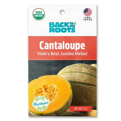 Back to the Roots Hale's Best Jumbo Melon seed packet ready for spring planting in a sunny bed.