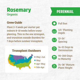 Back to the Roots indoor-outdoor rosemary growing for fragrant kitchen herbs and easy care