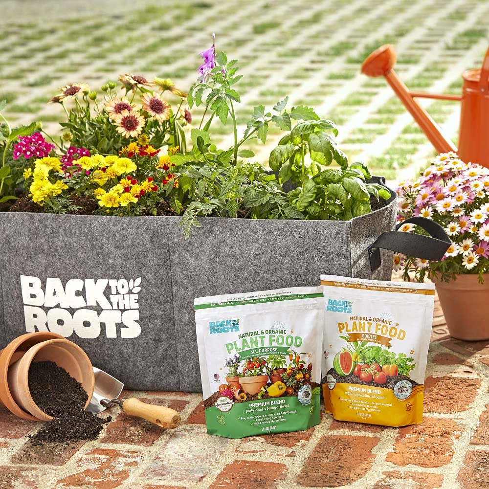 Back to the Roots potted plant montage showcases healthy growth with this premium blend