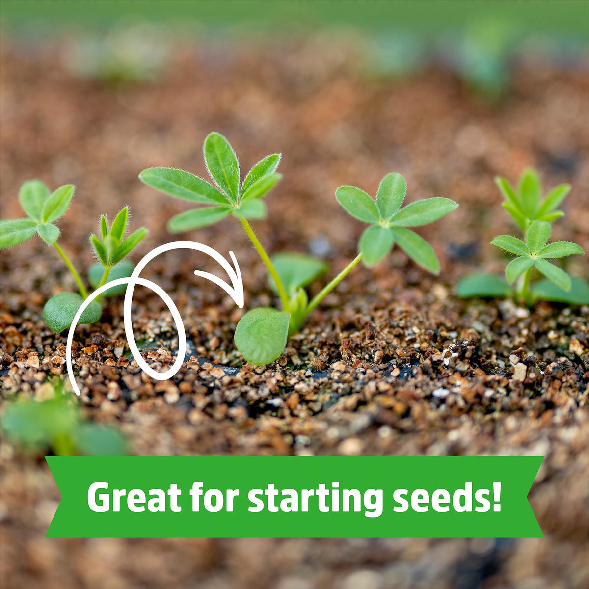 Back to the Roots temperature humidity insulation vermiculite stabilizes indoor and outdoor plant pots.