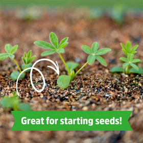 Back to the Roots temperature humidity insulation vermiculite stabilizes indoor and outdoor plant pots.