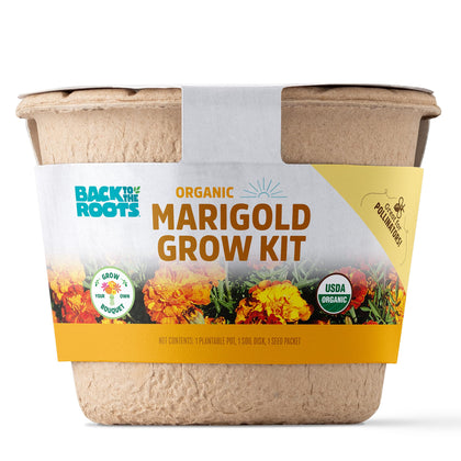Back to the Roots marigold grow kit seeds ready to plant for vibrant blooms.