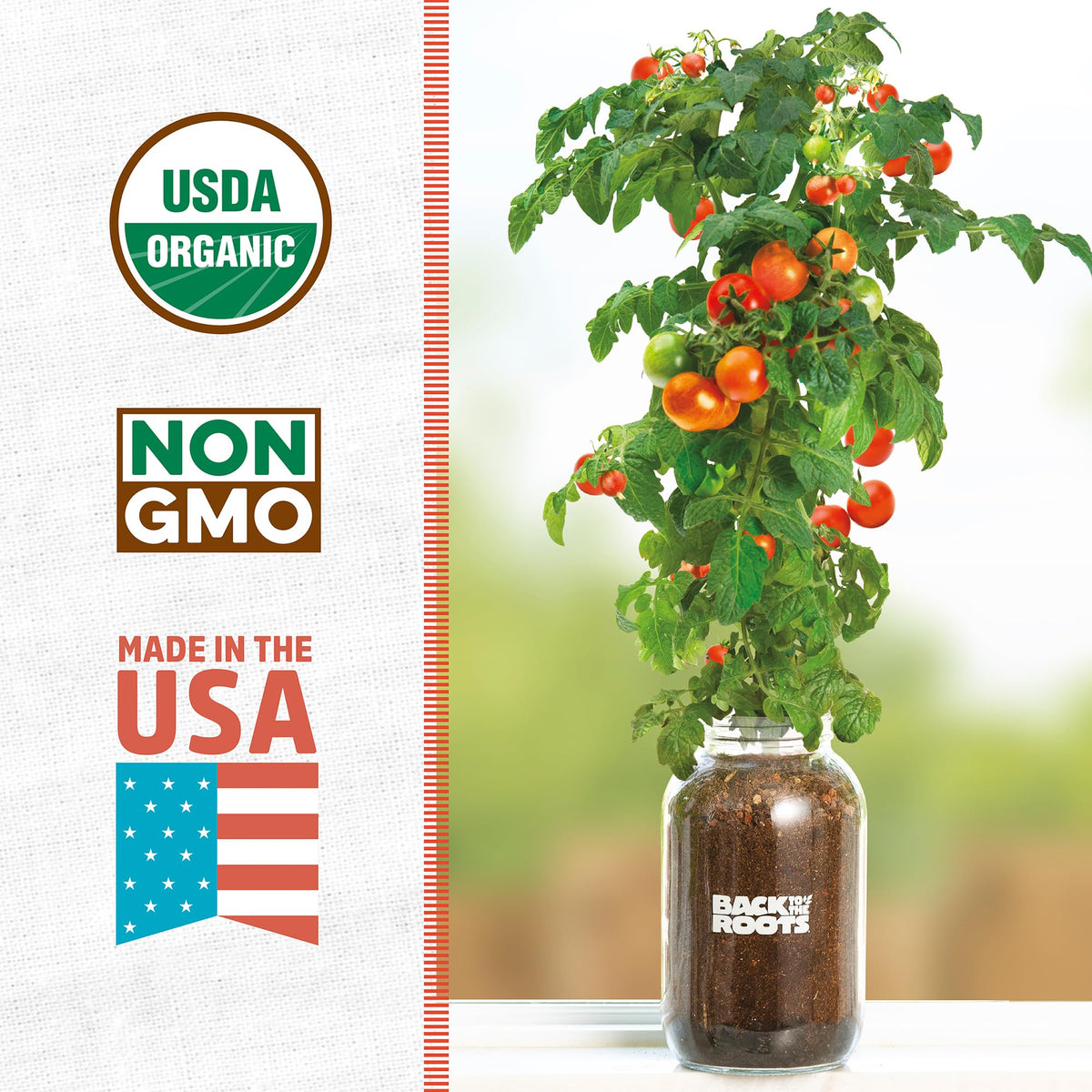 Back to the Roots olla self-watering pot keeps soil moist with minimal effort