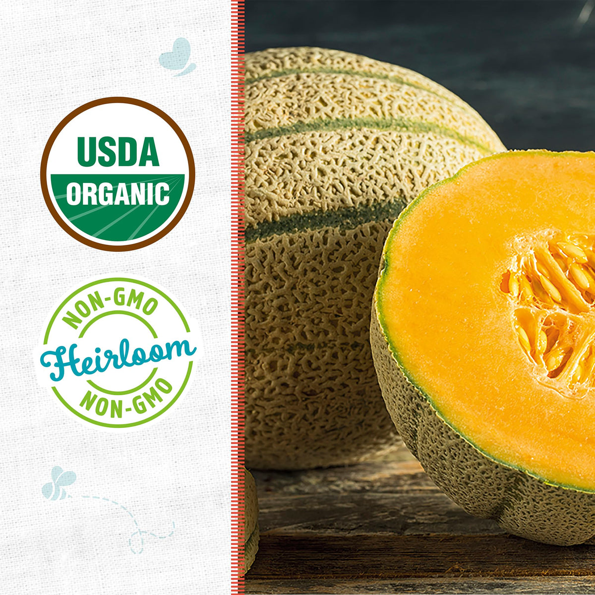 Back to the Roots organic cantaloupe seeds label close-up, great for heirloom gardening.