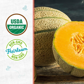 Back to the Roots organic cantaloupe seeds label close-up, great for heirloom gardening.