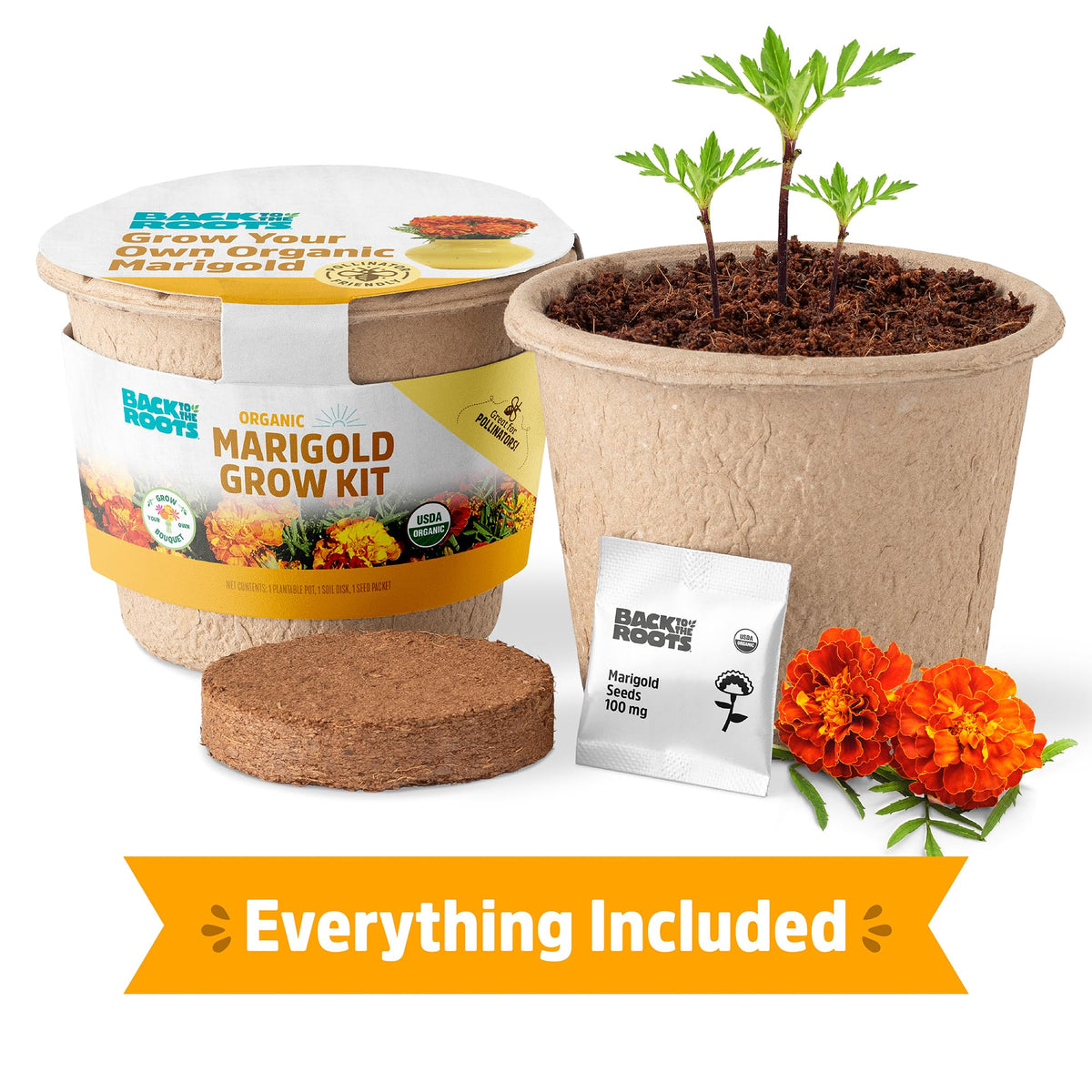 Back to the Roots organic expanding seed soil supports easy, healthy seedling growth.