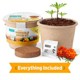Back to the Roots organic expanding seed soil supports easy, healthy seedling growth.