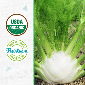 Back to the Roots organic seed packet fennel Florence promotes year-round herb gardening