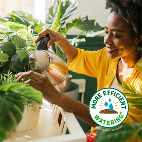 Back to the Roots outdoor vegetables with potting mix deliver lush growth