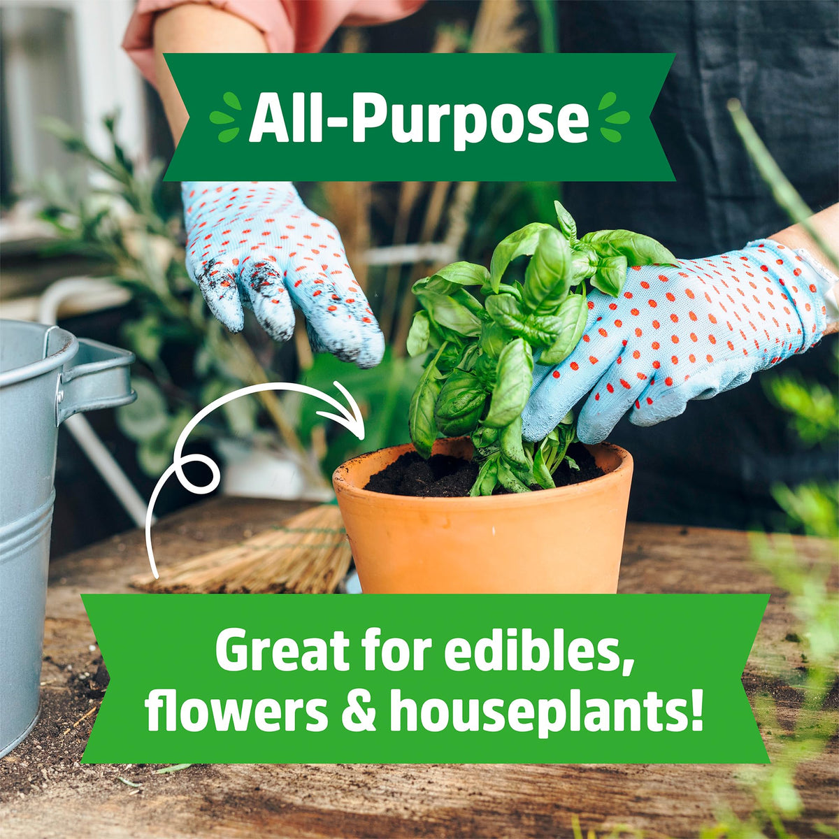 Back to the Roots peat-free potting mix with worm castings supports root health