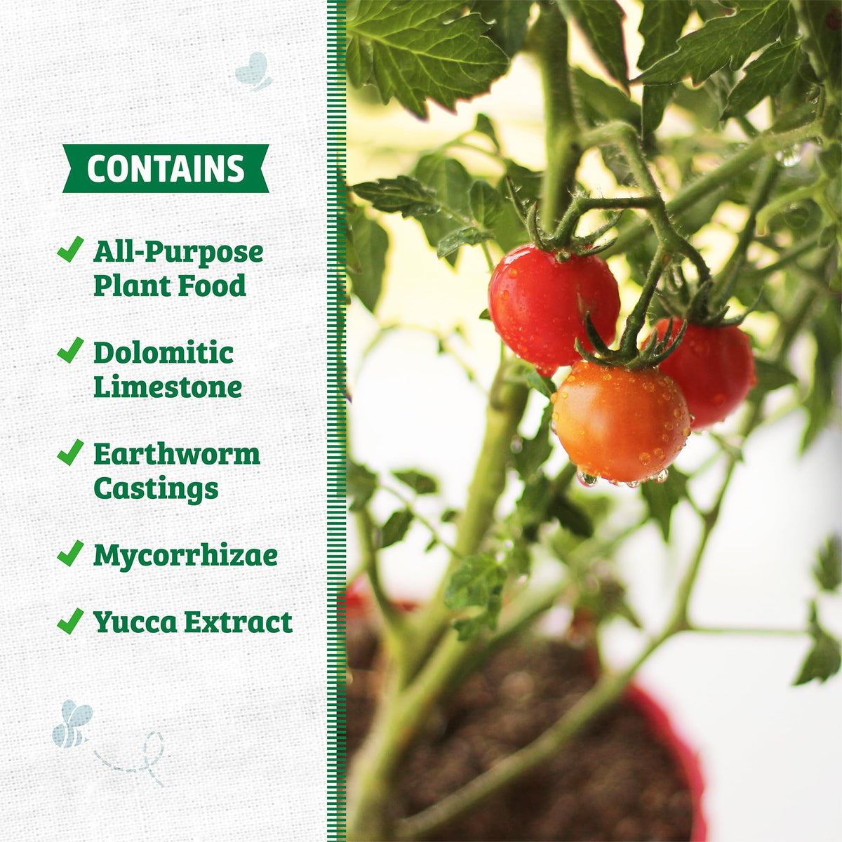 Back to the Roots potting mix in pot demonstrates moisture retention
