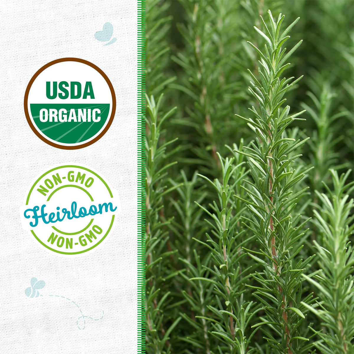 Back to the Roots rosemary seeds germination testing label supports reliable sprouting for your herb garden
