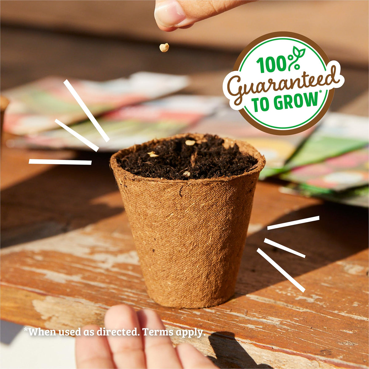 Back to the Roots Cayenne Thin seeds with guaranteed germination support.