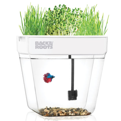 Back to the Roots Water Garden Duo front view, compact self-watering planter for desks