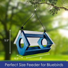 Backyard Essentials Bluebird Feeder supports mealworms and nuts for diverse treats.