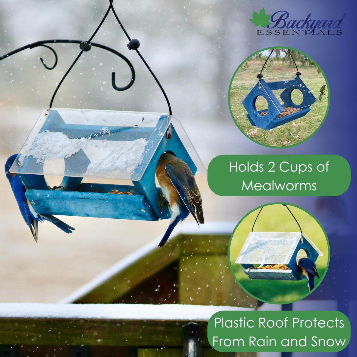 Backyard Essentials Bluebird Feeder with perforated metal mesh tray drains moisture for clean feeding.