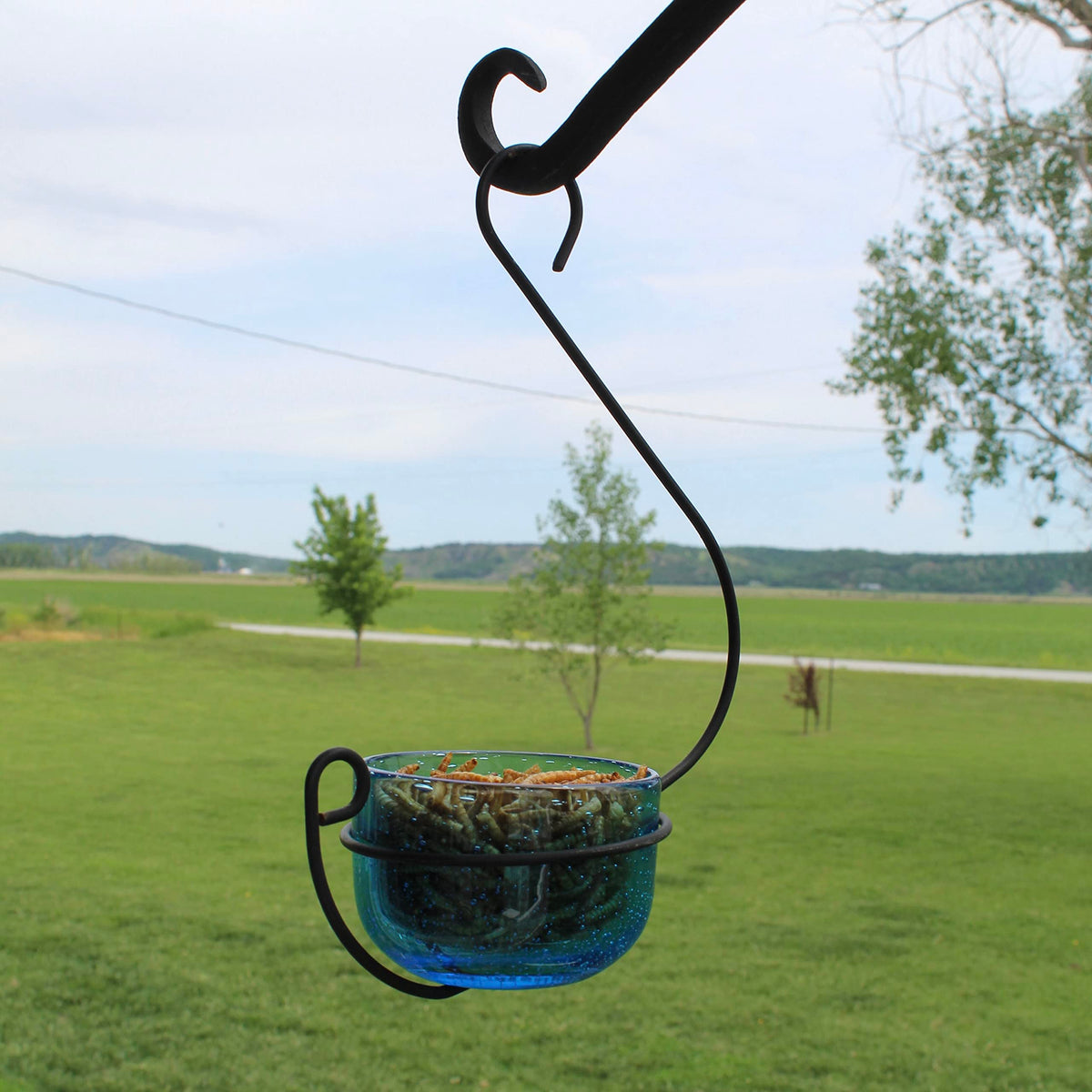 Backyard Essentials black wire holder supports the decorative blue feeder
