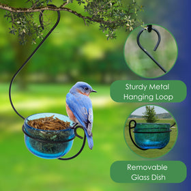 Backyard Essentials bluebird feeder decorative hanging hook enhances garden display