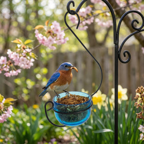 Open bowl design enables easy landing and natural feeding