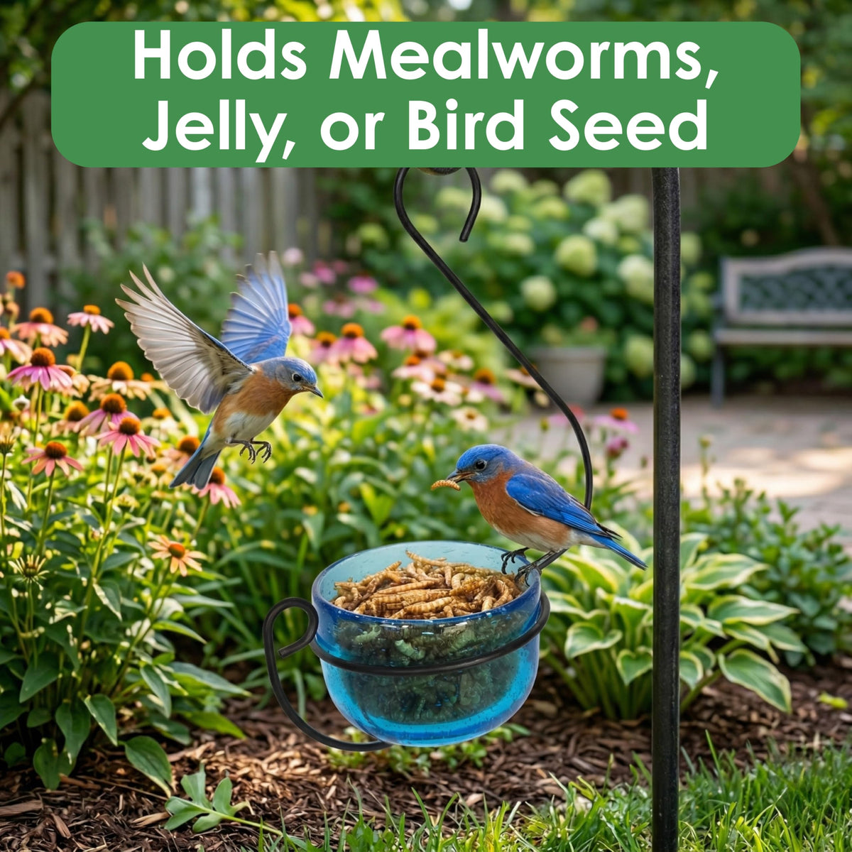 Backyard Essentials feeder removable glass cup for quick cleaning
