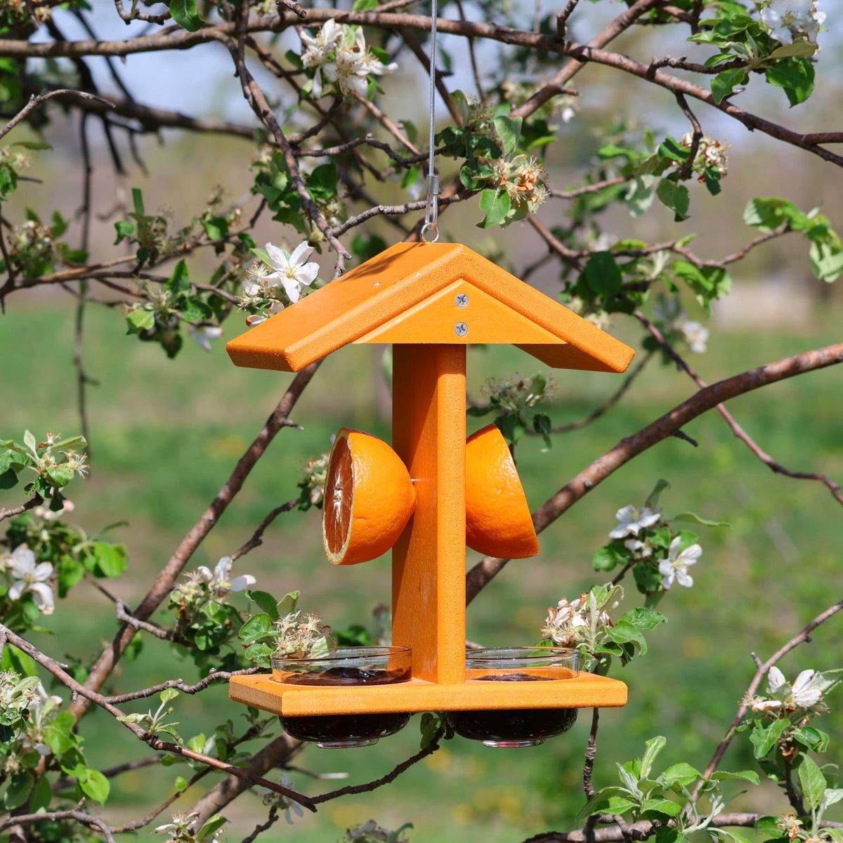 Backyard Essentials stable, wobble-free design keeps the feeding area tidy.