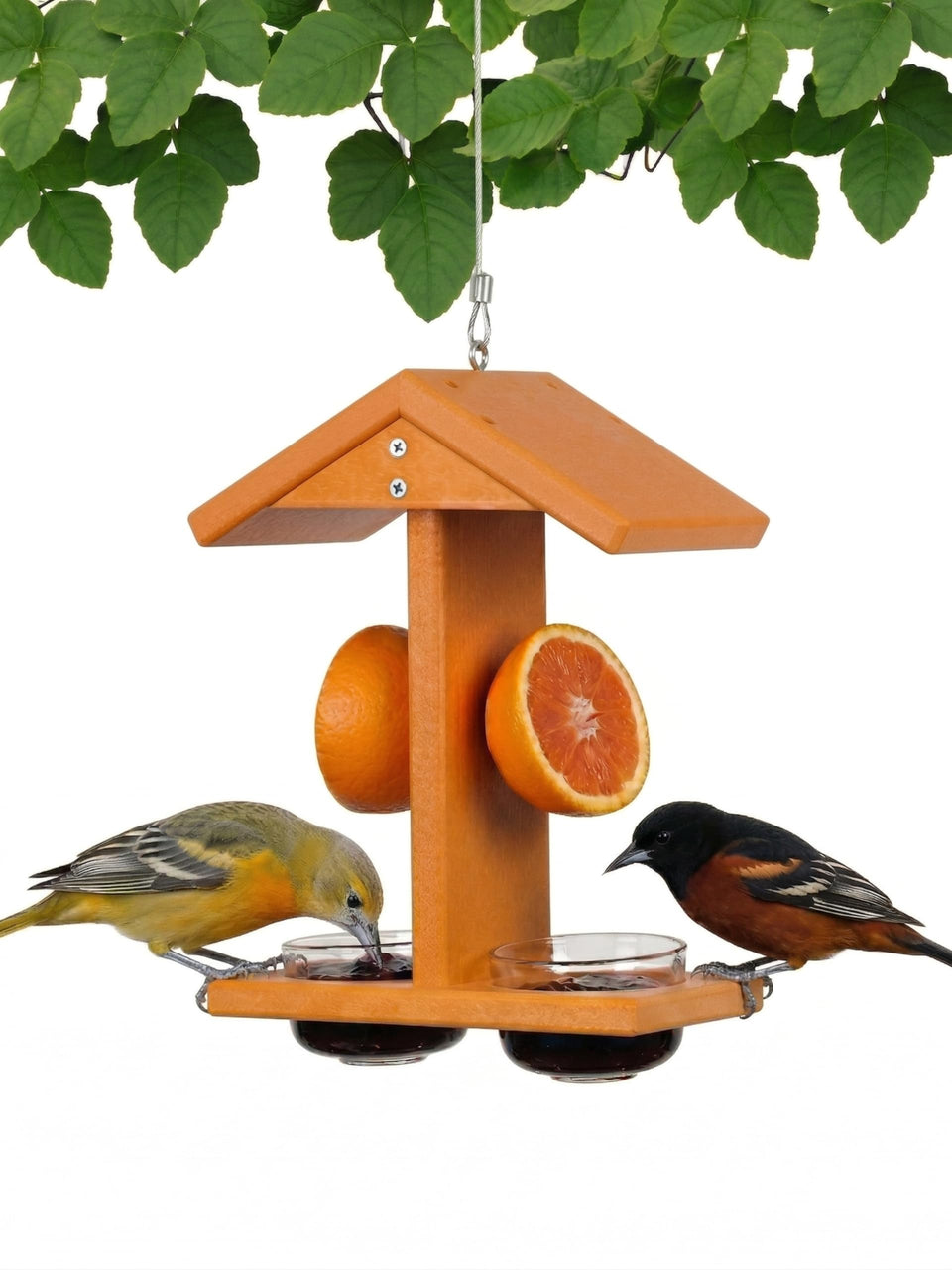Backyard Essentials Baltimore Oriole Feeder hanging setup attracts orioles with a durable frame.