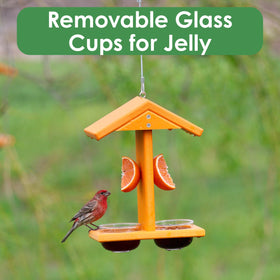 Backyard Essentials orange fruit pegs provide fresh options for orioles.